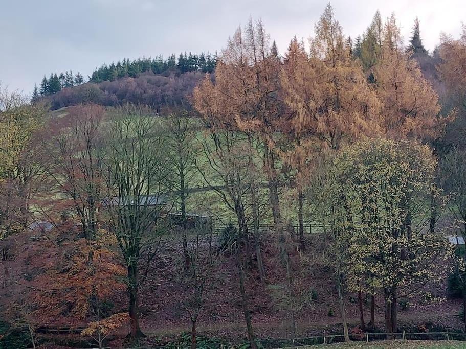 Folly View - Private, Peaceful Apartment With Stunning Views. Pateley Bridge Eksteriør bilde