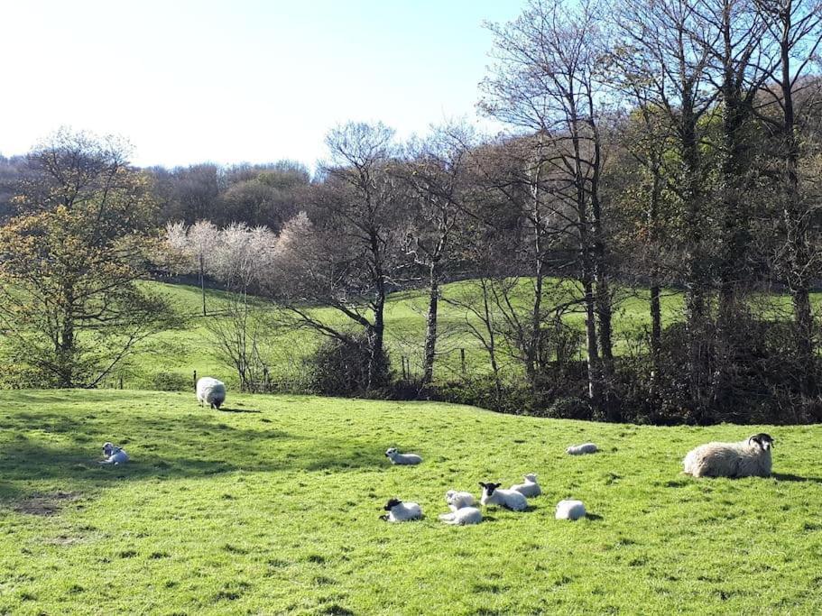 Folly View - Private, Peaceful Apartment With Stunning Views. Pateley Bridge Eksteriør bilde